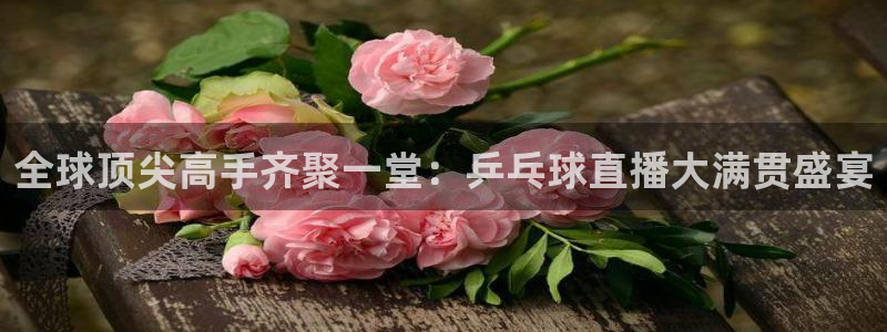 全球顶尖高手齐聚一堂：乒乓球直播大满贯盛宴